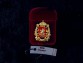 Значок Герб Московской губернии