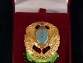 Знак 12-й пехотный Великолуцкий полк